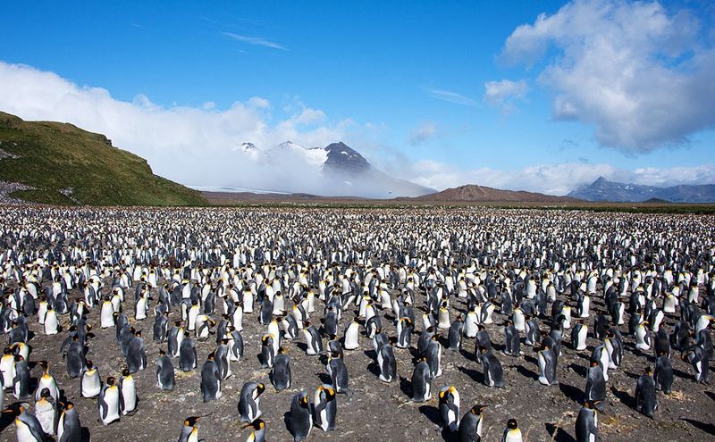 Antarctica, Stress Recovery and Christmas Talk 2012Robins Key