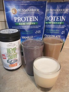 Vegan Protein Shakes - Creamy Cacao Hemp Protein Shake - Berry Banana Hemp Protein Shake - Vegan Protein Shake