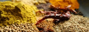 Different types of curries - Spices for curry powder