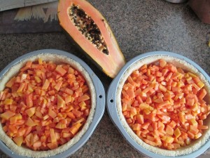 Raw Papaya Pie Recipe - 7 papaya in pie shells